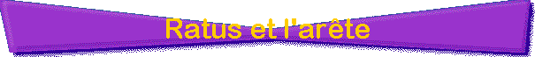 Ratus et l'ar�te